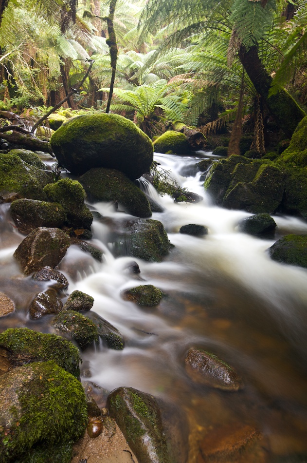 Near St. Columbia Falls