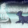 StarClan Contest Entry