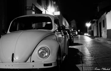 Beetle in The Dark