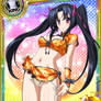 DxD Mobage Cards- Serafall - (China) 2016