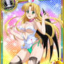 DxD Cards - [Nurse V] -Asia