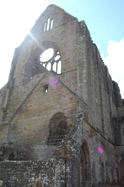 Tintern Abbey in the sunlight