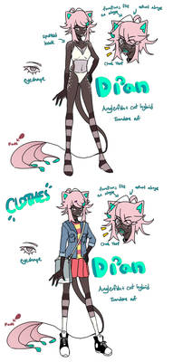 dian new ref