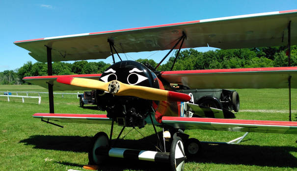 Fokker Dr.1 No.1