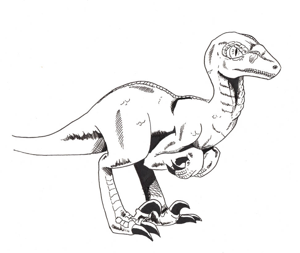 Raptor by saturdaymorningproj on DeviantArt