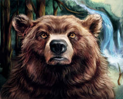 Bear in the forest