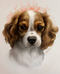 Cute looking doggy commission