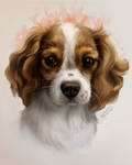 Cute looking doggy commission by MarkotnePierniki
