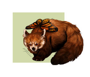 Red panda: butterfly by MagdaSleboda