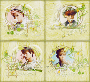 130611 EXO CECI SET