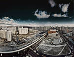 Bird's Eye View by Tori-Tolkacheva