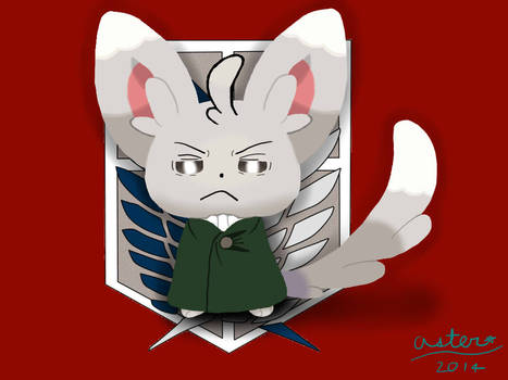 Levi Minccino