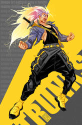 SS3 Trunks