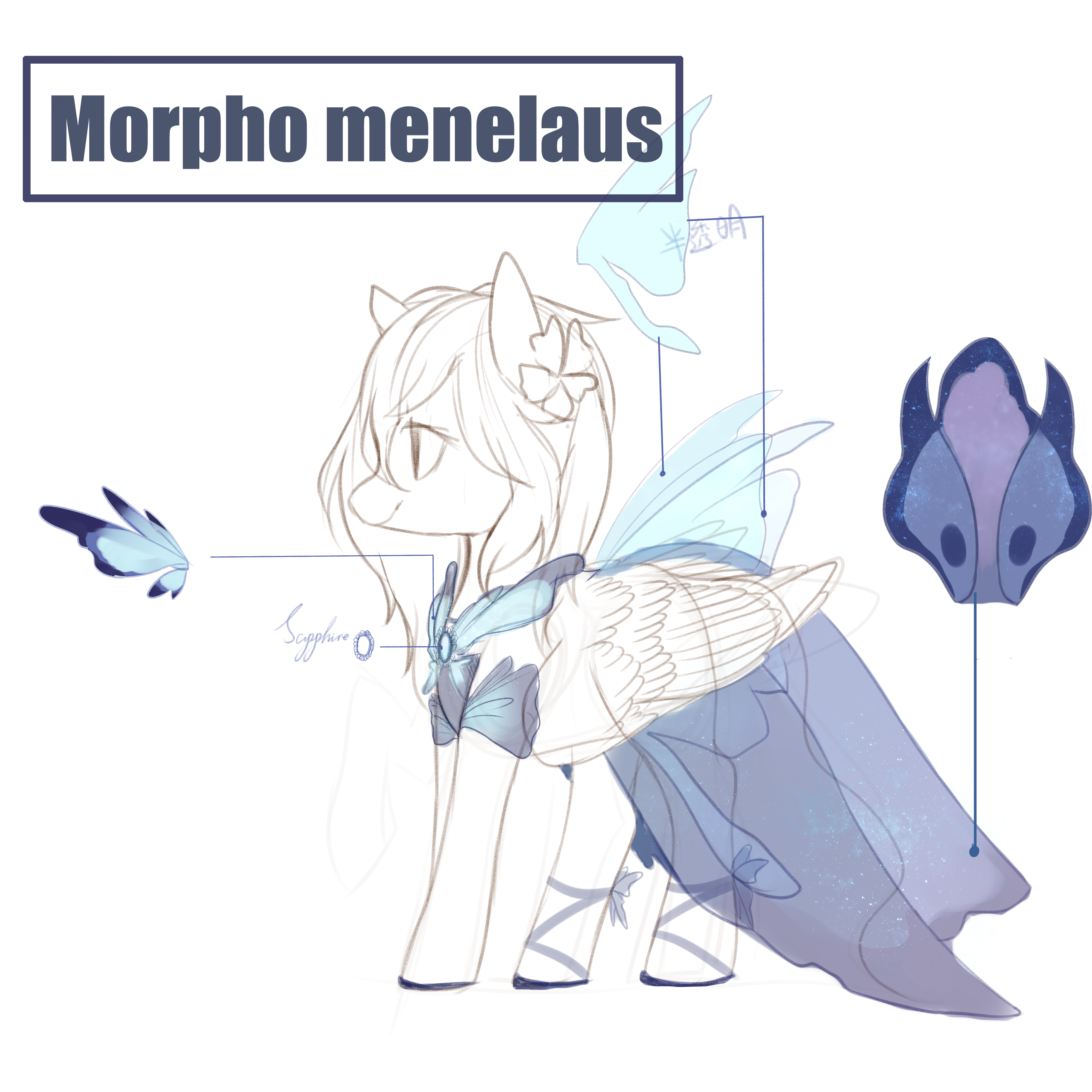 Moropho menelaus