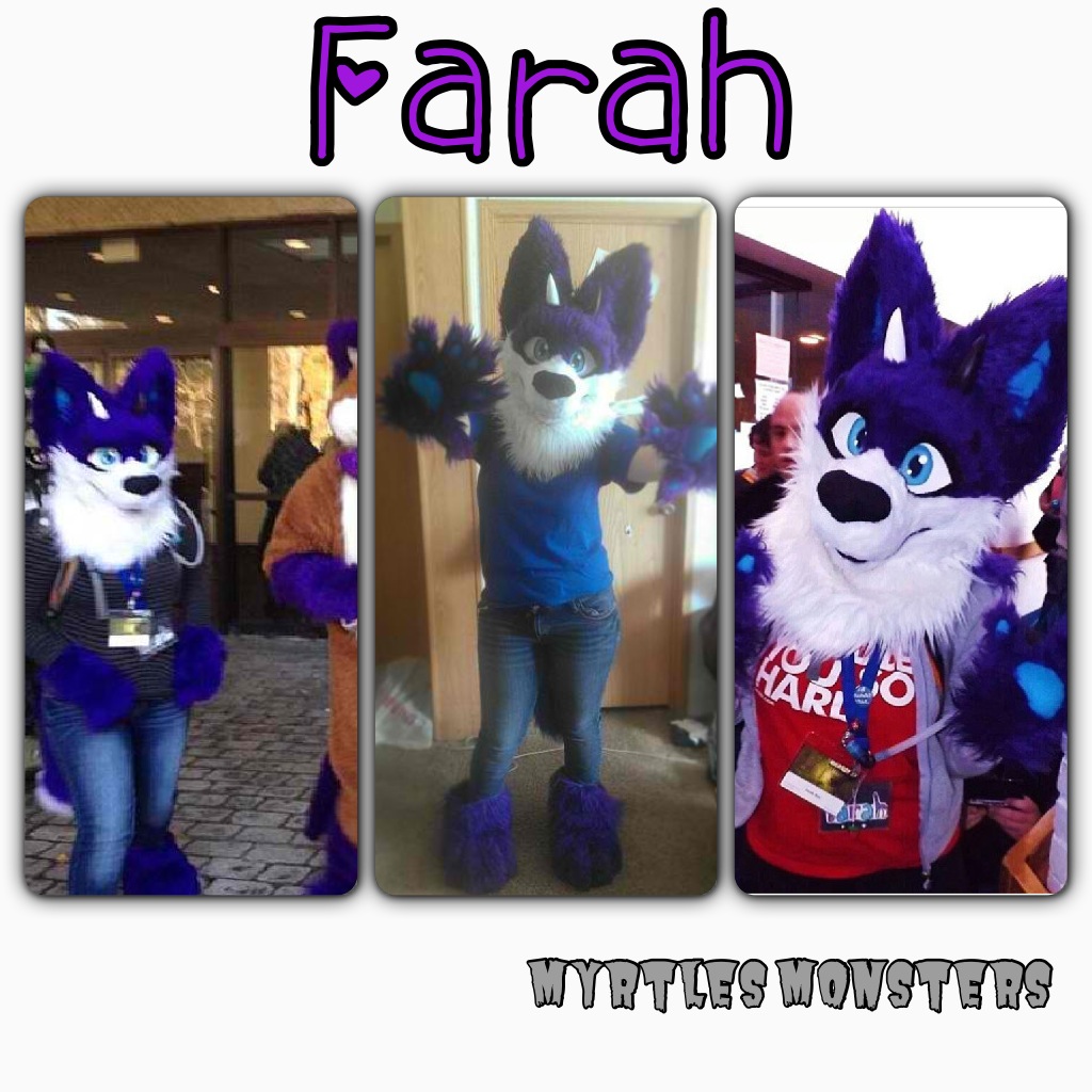 Farah the Fox Cat Hybrid