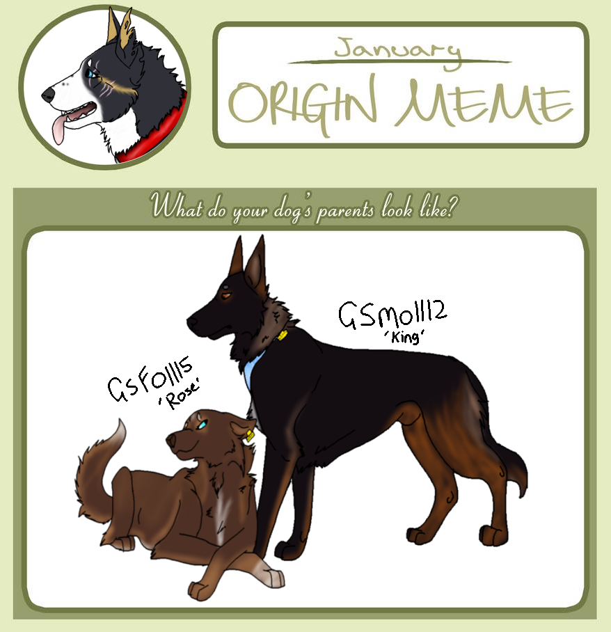 SCMikas parents2020 by HeelNippingRanch on DeviantArt
