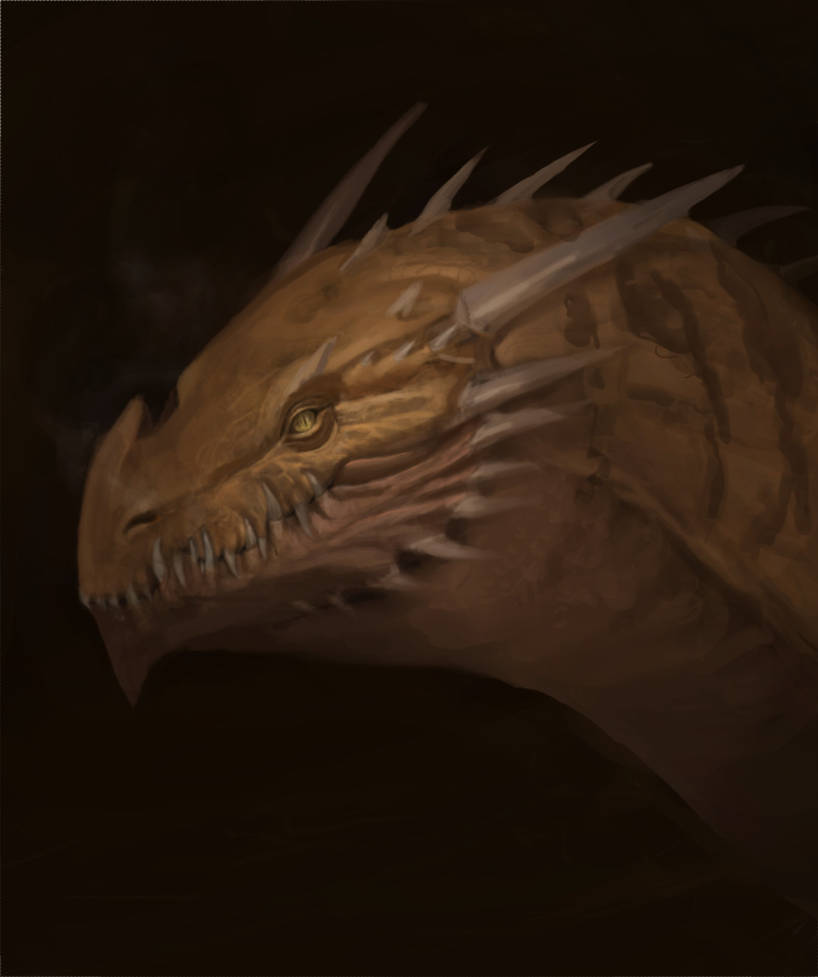 Dragon study