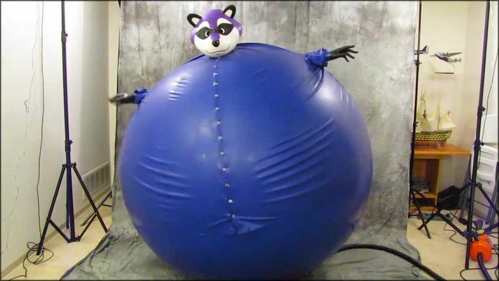Blueberry Inflation Raccoon by NahuelAqua300 on DeviantArt