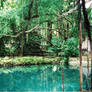 Garden in Jamaica