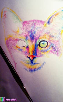 colored cat