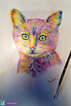 Colored Cat