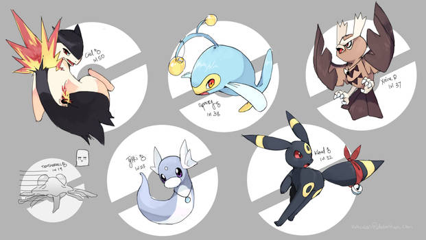 Soul Silver Team EQ