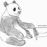 pandapianominorchord