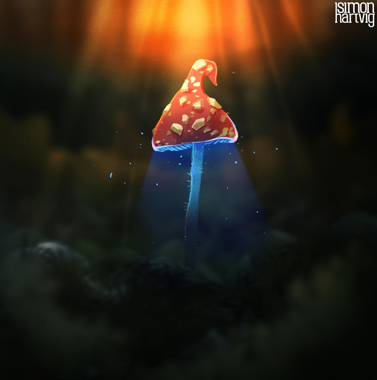 Mushroom magician's hat