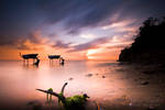 Freedom in the sea by muratgorgulu