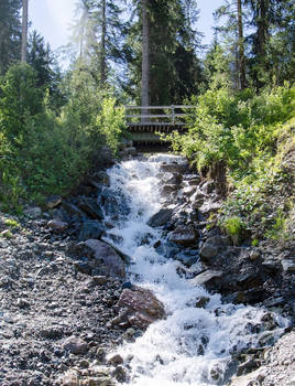 Chilling and Sparkling, Summer in the Alps