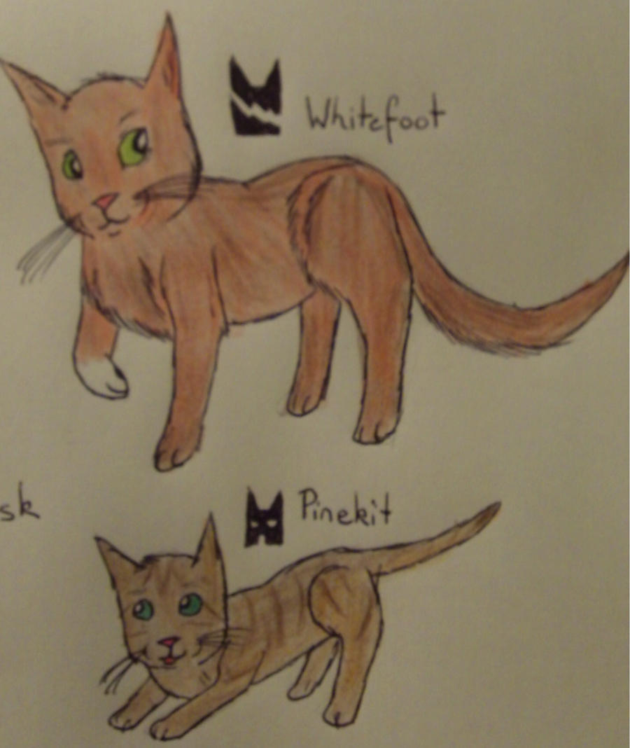 Whitefoot and Pinekit