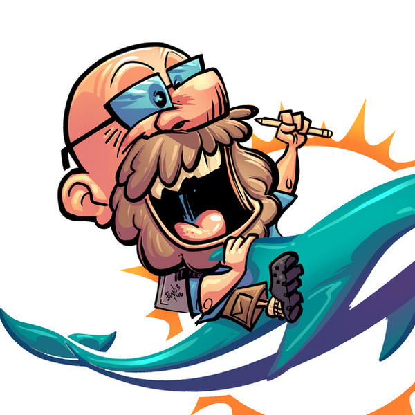 Dolphin Rider Commission - Fin