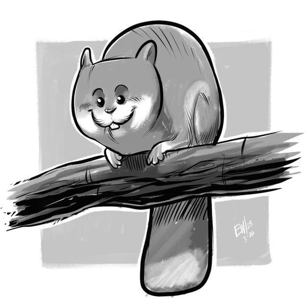 Squirrel Warmup 032023