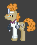 Doctor Pony