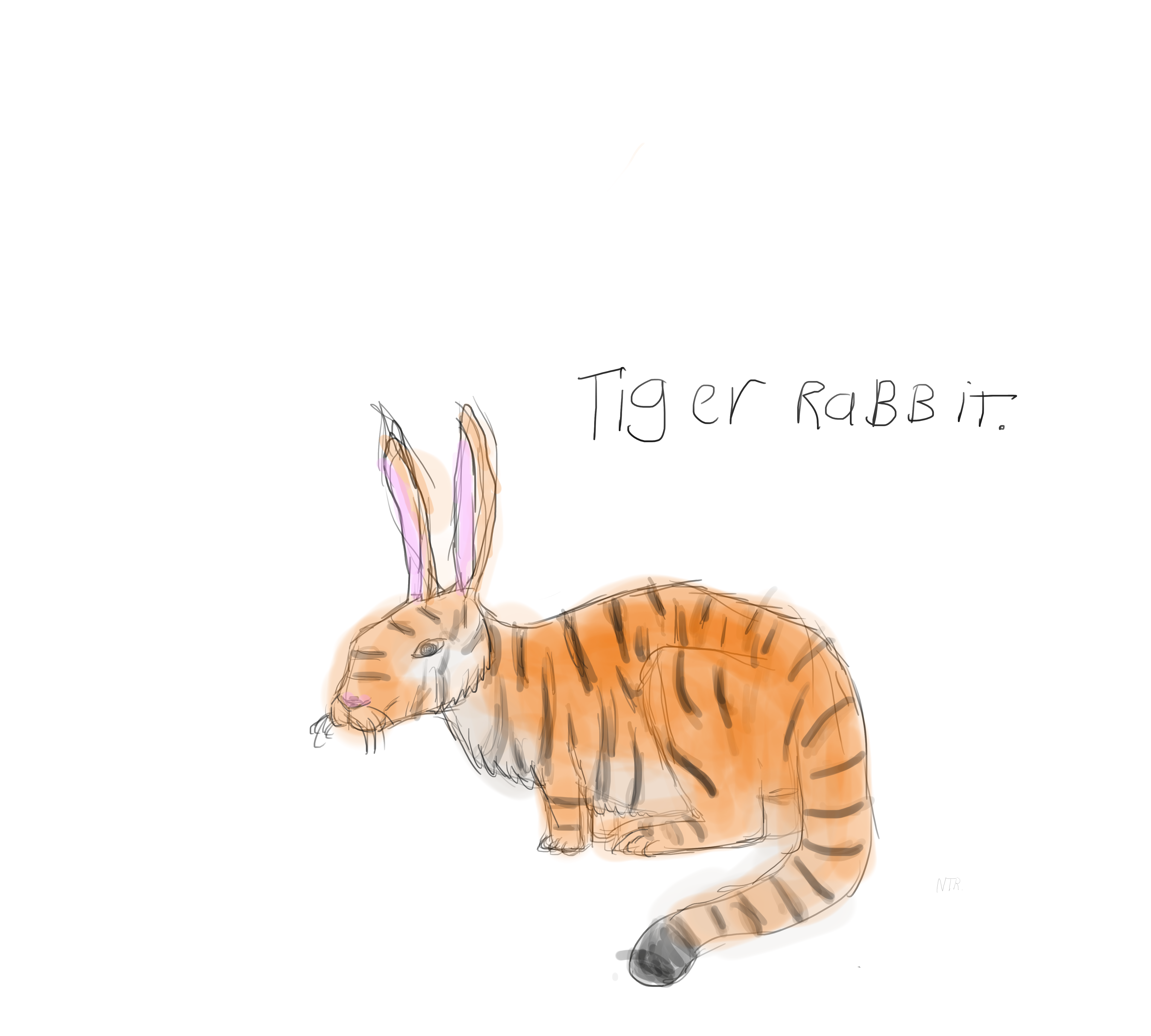 Tiger Rabbit Drawing Tiger Rabbit by Zealandiatherium on DeviantArt