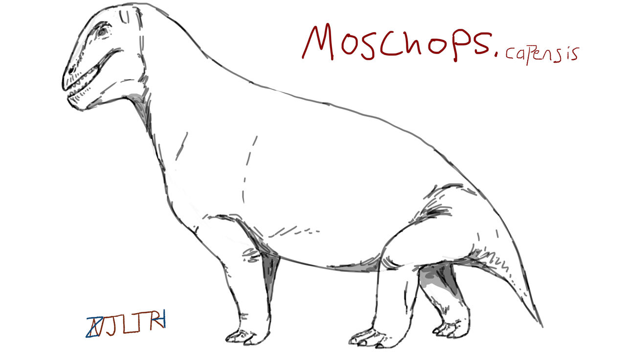 Moschops by Zealandiatherium on DeviantArt
