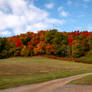 Fall Reds