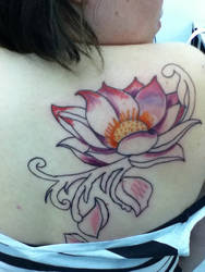 My lotus... 1