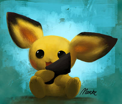 Important Announcement - Pichu