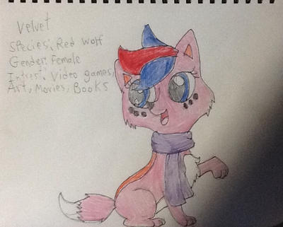 LPS OC-Velvet