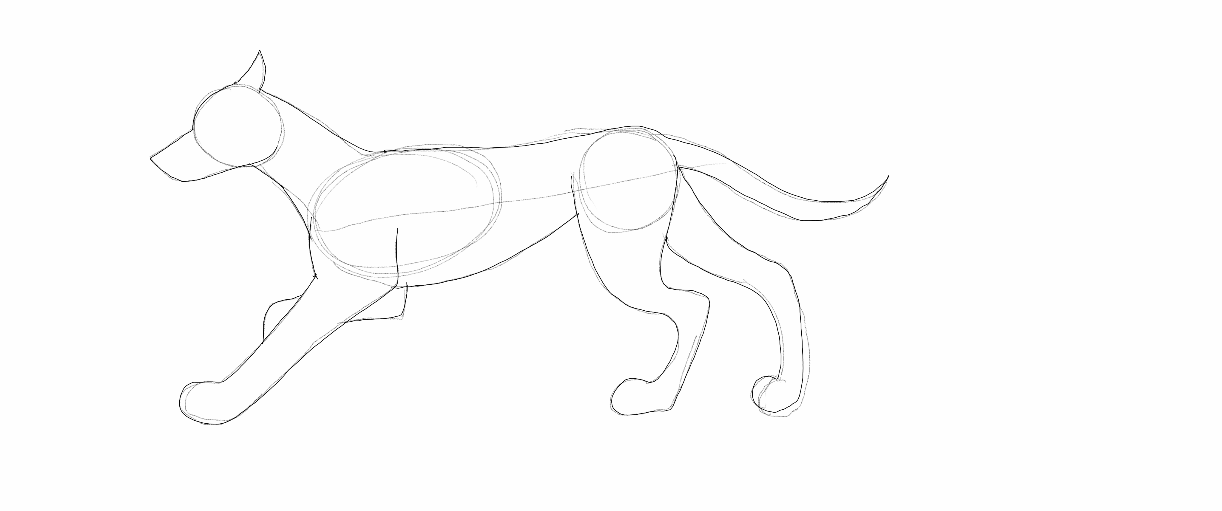 Dog run cycle animation gif by AdeanDreamkeepers on DeviantArt