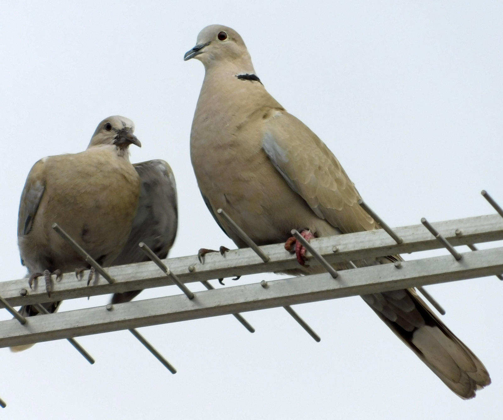 mom and child