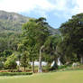 Hakgala botanical garden