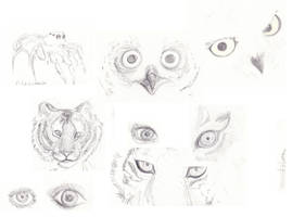 Sketch Dump: Eyes and Stuff