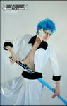 Grimmjow Jeagerjaques-02 by Megane-Saiko