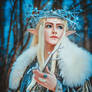 Thranduil and his Wife 03