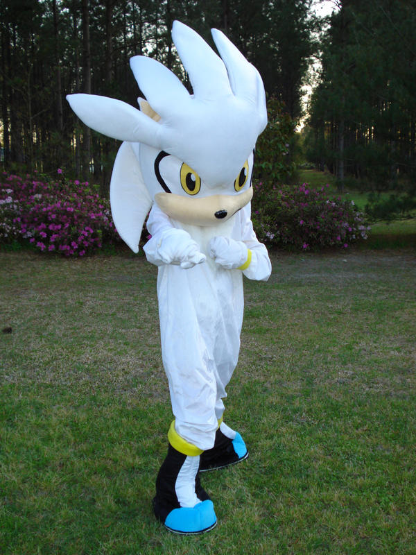 silver the hedgehog dress up Silver the hedgehog in a dress