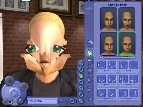 The Sims