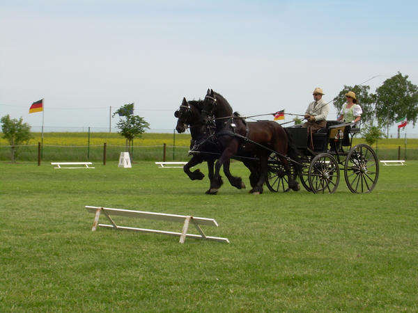 .:Dressage_Competition:.