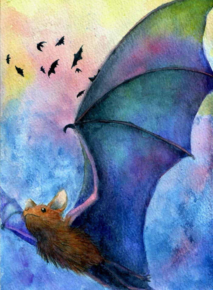 Bat of many hues